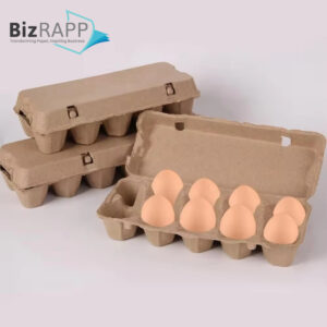 Paper Pulp Egg Carton Biodegradable Pulp Fiber Egg Tray molded paper pulp packaging tray