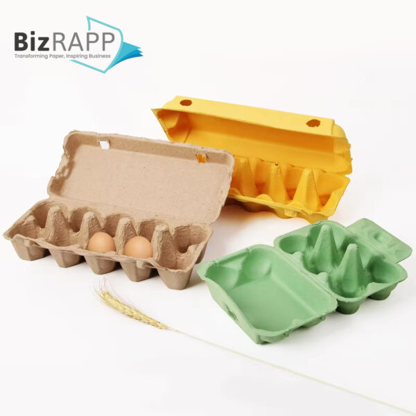 Paper Pulp Egg Carton Biodegradable Pulp Fiber Egg Tray molded paper pulp packaging tray