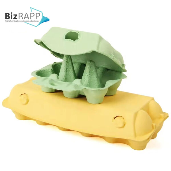 Paper Pulp Egg Carton Biodegradable Pulp Fiber Egg Tray molded paper pulp packaging tray