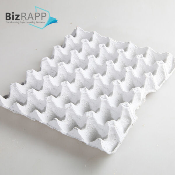 Paper Pulp Egg Carton Biodegradable Pulp Fiber Egg Tray molded paper pulp packaging tray