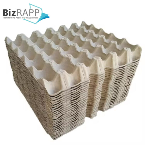 Paper Pulp Egg Carton Biodegradable Pulp Fiber Egg Tray molded paper pulp packaging tray