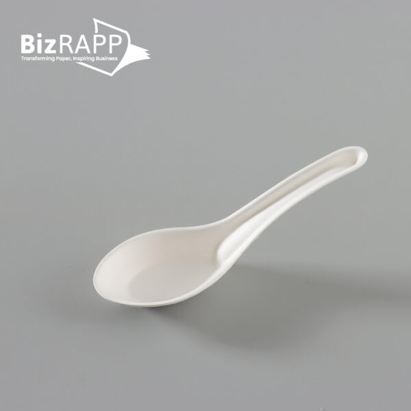 Bagasse paper cutlery pulp fork knife spoon for party